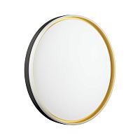 SONEX 7619/ELN PALE SN 160 Светильник пластик/черн./золот. LED 76Вт 3000/4000/6000K D490 IP43 CCT SAVI