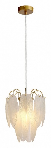 Подвесной светильник Arte Lamp EVIE A4052SP-1SG фото 2