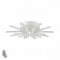 8029/80CL LEDIO LN25 248 белый, металл/акрил Потолочный светильник с ПДУ LED 80W 3000-6000К 220V ALBERTA