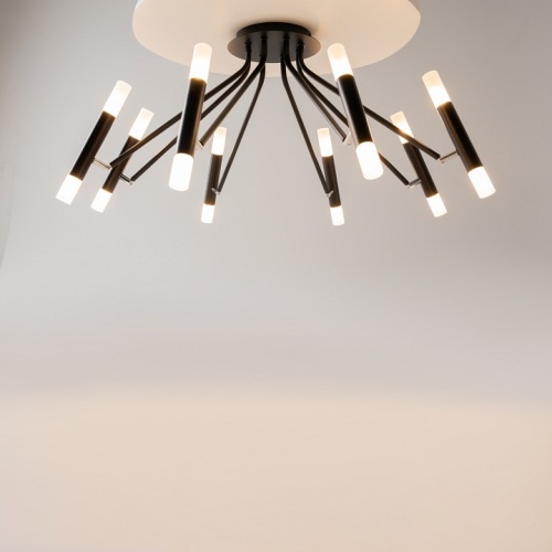 Потолочная люстра Maytoni Vigo MOD620CL-16B фото 5