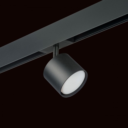 Светильник на штанге Lightstar Rullo PRO3487 фото 2