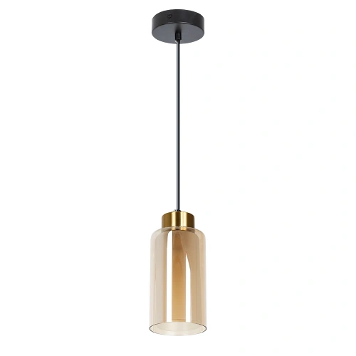 Подвесной светильник Arte Lamp LEO A7027SP-1BK Подвесной светильник Arte Lamp LEO A7027SP-1BK