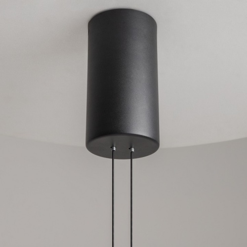 Подвесной светильник Maytoni Halo MOD280PL-L30B3K фото 6 Подвесной светильник Maytoni Halo MOD280PL-L30B3K фото 6