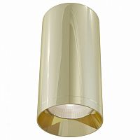 Накладной светильник Maytoni Alfa C010CL-01G