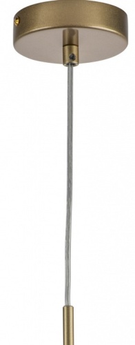 Подвесной светильник Lightstar Ramo 690013 фото 3