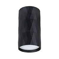 Точечный накладной светильник Arte Lamp FANG A5557PL-1BK