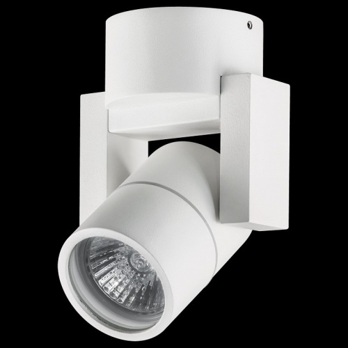 Светильник на штанге Lightstar Illumo L1 051046-IP65 фото 2