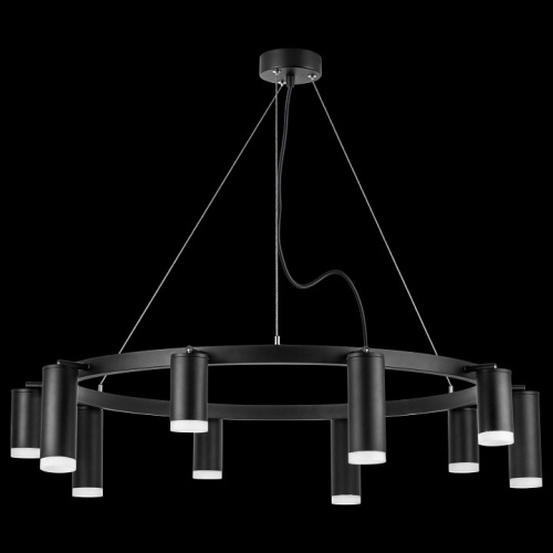 Подвесная люстра Lightstar Rullo LR0203758750 фото 3