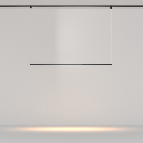 Подвесной светильник Maytoni Technical Points TR169-1-52W3K-M-B фото 2