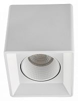 Накладной светильник Denkirs DK3030 DK3080-WH