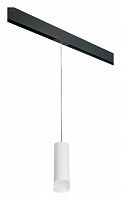 Подвесной светильник Lightstar Rullo PRORP48631