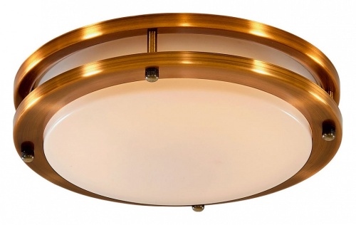 Накладной светильник Citilux Бостон CL709203N Накладной светильник Citilux Бостон CL709203N