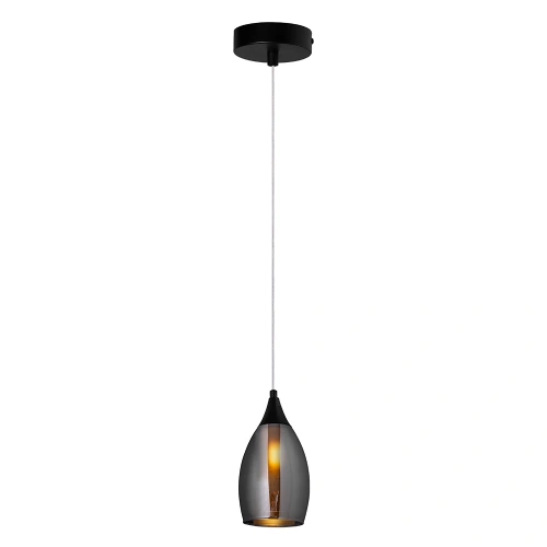 Подвесной светильник Arte Lamp BARRY A7951SP-1BK Подвесной светильник Arte Lamp BARRY A7951SP-1BK