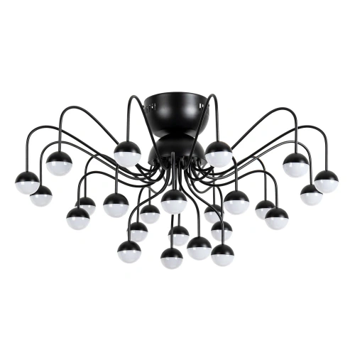 Потолочная люстра Arte Lamp DEXTER A3619PL-24BK Потолочная люстра Arte Lamp DEXTER A3619PL-24BK