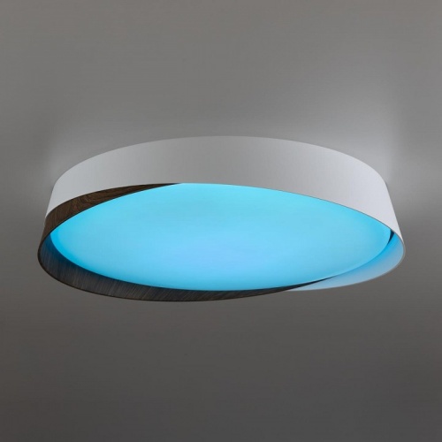 Накладной светильник Citilux BONNY CL754350G фото 8