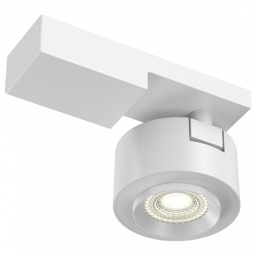 Светильник на штанге Maytoni Technical Treo C062CL-L12W3K фото 2