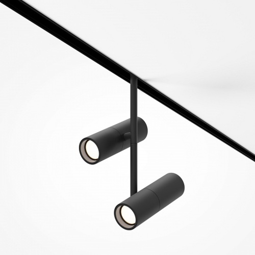 Светильник на штанге Maytoni Technical Elti Duo TR005-2-2X12W3K-B фото 4