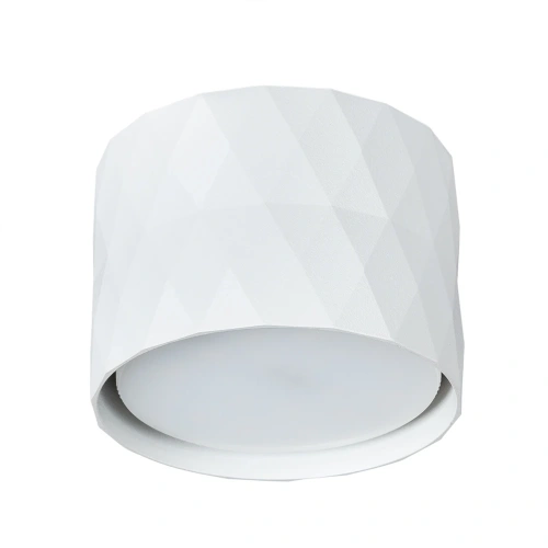 Точечный накладной светильник Arte Lamp FANG A5552PL-1WH Точечный накладной светильник Arte Lamp FANG A5552PL-1WH