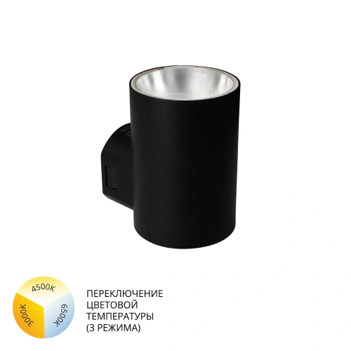 Фасадный светильник Arte Lamp ALCYONE A6109AL-1BK Фасадный светильник Arte Lamp ALCYONE A6109AL-1BK