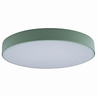 Накладной светильник Loft it Axel 1 10002/24 Green