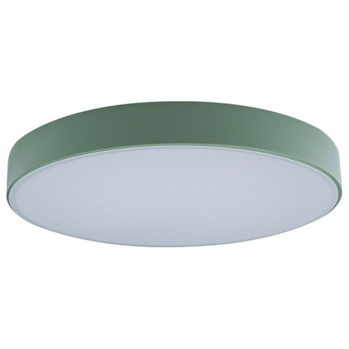 Накладной светильник Loft it Axel 1 10002/24 Green Накладной светильник Loft it Axel 1 10002/24 Green