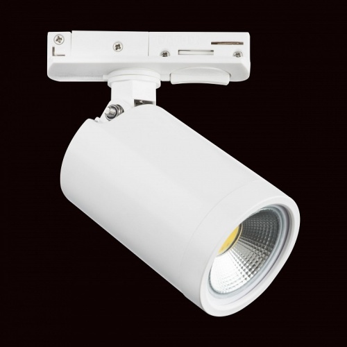 Светильник на штанге Lightstar Rullo 212936 фото 2