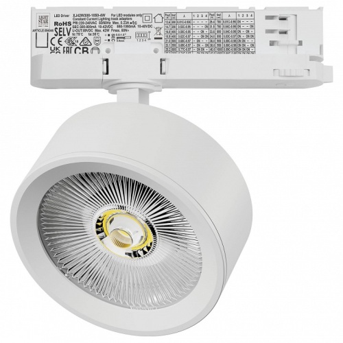 Светильник на штанге Lightstar Alta Pro A5636QT