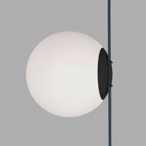 Накладной светильник Denkirs BELTY ORB DK5552-BK фото 7