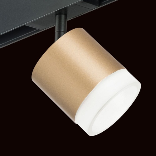 Светильник на штанге Lightstar Rullo PRO349080 фото 4