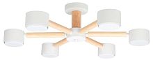 Потолочная люстра Arte Lamp TENDA A1624PL-6WH