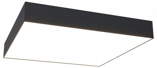 Накладной светильник Maytoni Technical Zon C032CL-45W4K-SQ-B Накладной светильник Maytoni Technical Zon C032CL-45W4K-SQ-B