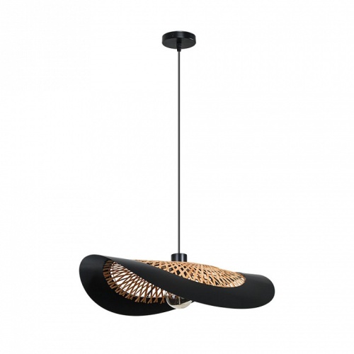 Подвесной светильник Arte Lamp WOODSTOCK A7059SP-1BK фото 2 Подвесной светильник Arte Lamp WOODSTOCK A7059SP-1BK фото 2