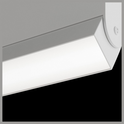 Светильник на штанге Maytoni Technical BASIS TR013-2-10W3K-W фото 3 Светильник на штанге Maytoni Technical BASIS TR013-2-10W3K-W фото 3