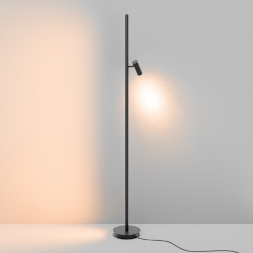 Торшер Maytoni Thin MOD395FL-L28B3K фото 3