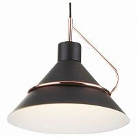 Подвесной светильник Freya Amis FR5025PL-01B