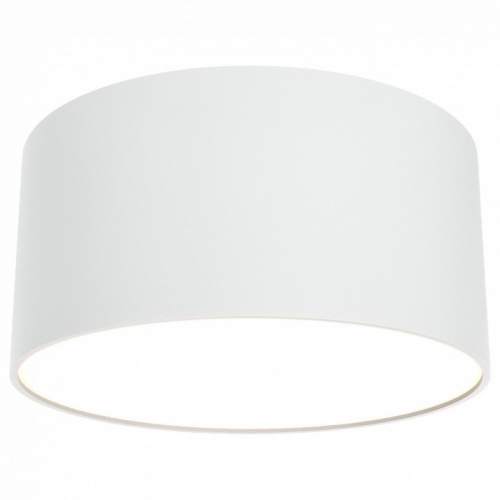 Накладной светильник Maytoni Zon C032CL-L12W3K Накладной светильник Maytoni Zon C032CL-L12W3K