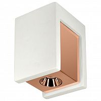 Накладной светильник Loft it Architect OL1073-WG