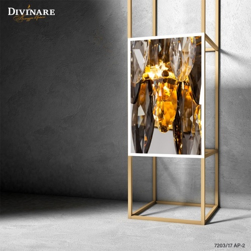Накладной светильник Divinare Ophelia 7203/17 AP-2 фото 3