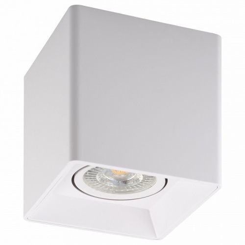 Накладной светильник Denkirs DK3030 DK3030-WH Накладной светильник Denkirs DK3030 DK3030-WH