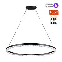 NOVOTECH 359711 LEDO NT25 332 черный Светильник подвесной диммир. со сменой цв.темпер. (пульт ДУ/прилож. Smart Life) IP20 LED 70W 220-240V 1800-4000К MONILE