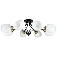 Потолочная люстра Arte Lamp BRIGHTON A2706PL-8CK