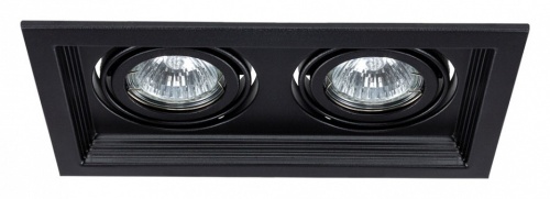 Встраиваемый светильник Arte Lamp Canis A6661PL-2BK Встраиваемый светильник Arte Lamp Canis A6661PL-2BK