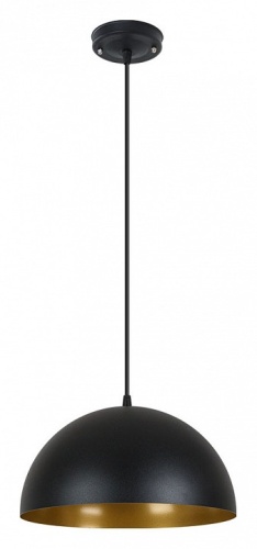 Подвесной светильник Arte Lamp CARMEL A7077SP-1BK фото 2