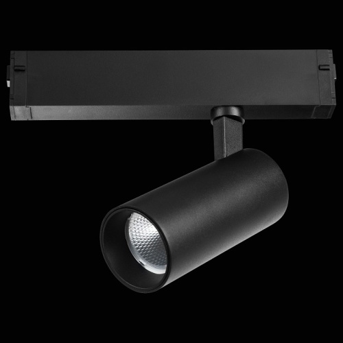 Светильник на штанге Lightstar Teta 205037R фото 3