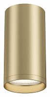 Накладной светильник Maytoni Technical Focus S C052CL-01MG