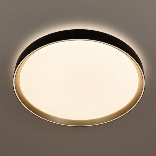 Накладной светильник Citilux BOSS CL751451G фото 6 Накладной светильник Citilux BOSS CL751451G фото 6