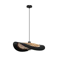 Подвесной светильник Arte Lamp WOODSTOCK A7059SP-1BK