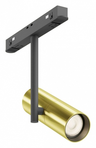 Светильник на штанге Maytoni Technical Elti TR005-2-12W3K-BBS
