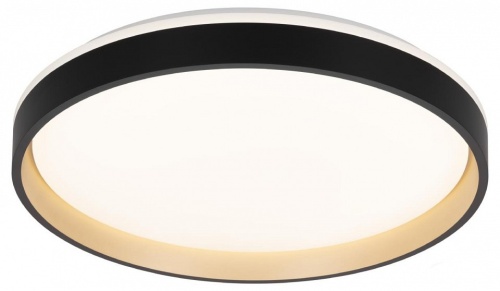 Накладной светильник Citilux ENZO CL753451G Накладной светильник Citilux ENZO CL753451G
