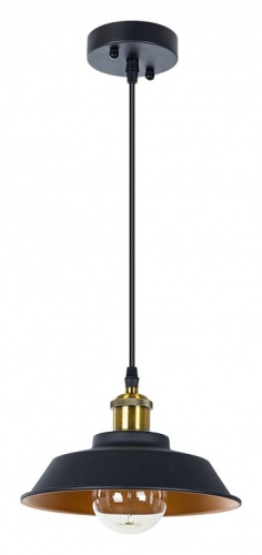 Подвесной светильник Arte Lamp CAPPELLO A7038SP-1BK фото 2